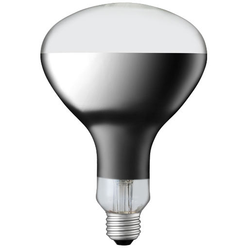 IR220V250WRH|R形赤外線電球