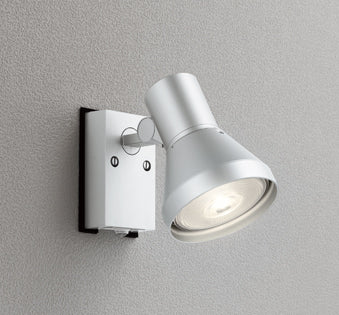 OG044136|センサスポット