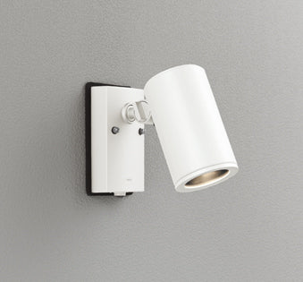 OG254551P1|スポット ランプ別売