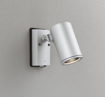 OG254553P1|スポット ランプ別売