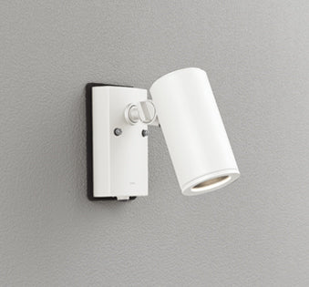 OG254554P1|スポット ランプ別売