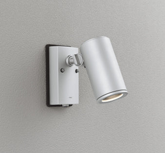 OG254556P1|スポット ランプ別売