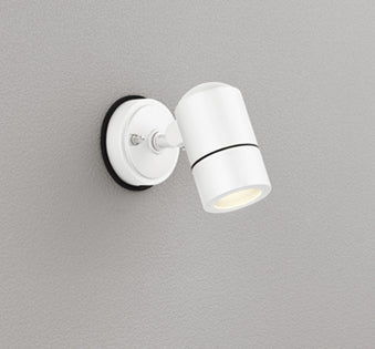 OG254587|LEDスポット