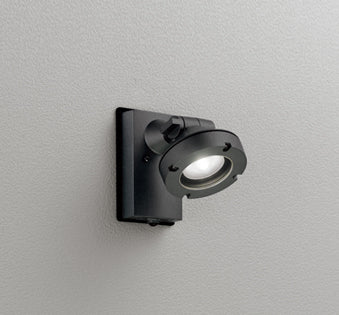 OG254897|防雨型LEDスポット