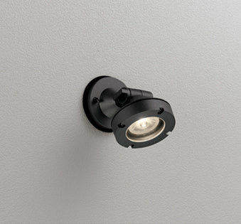 OG254902|防雨型LEDスポット