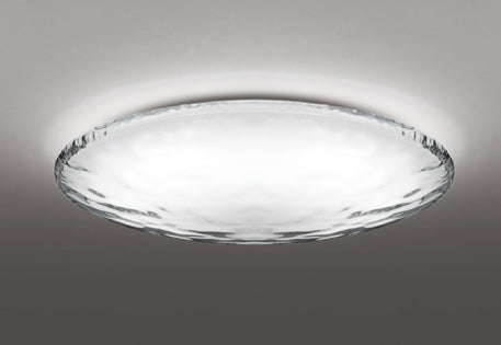 OL291349BCR|LEDシーリング