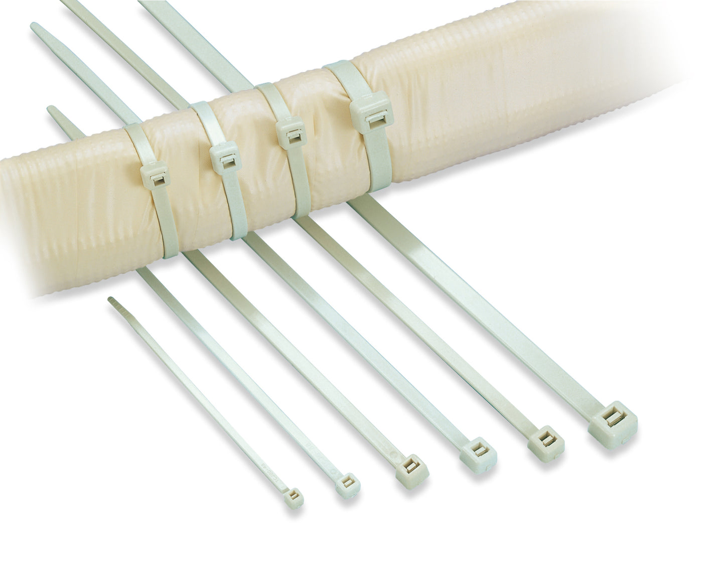 AB250-IVY｜耐候性インシュロック100本