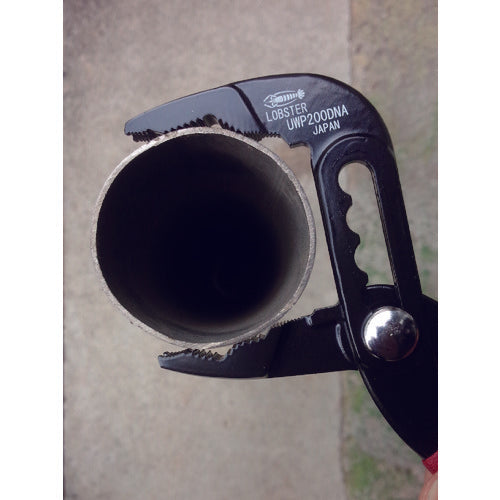 1207040|エビ ポンププライヤー