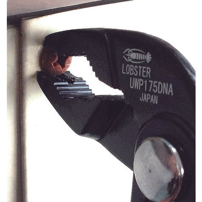 1207043|エビ ポンププライヤー