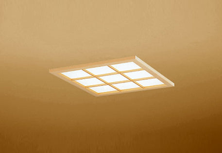 OD301207P2B|LED光源ユニット別梱