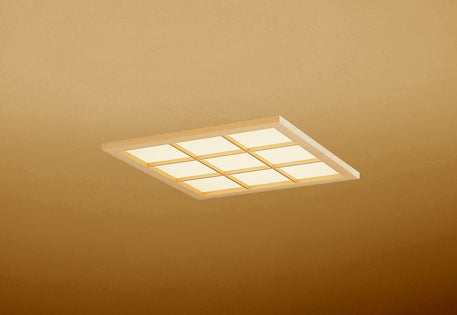 OD301207P2E|LED光源ユニット別梱