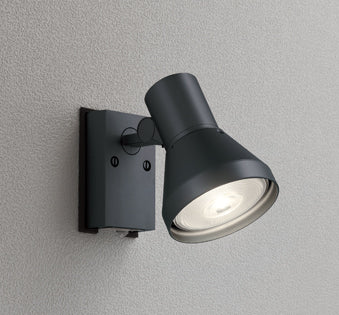 OG044135｜センサスポット