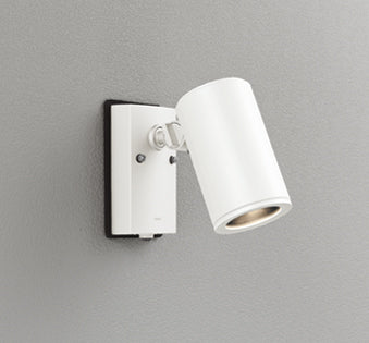 OG254539P1｜防雨型LEDスポット