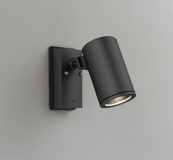 OG254552P1｜スポット ランプ別売