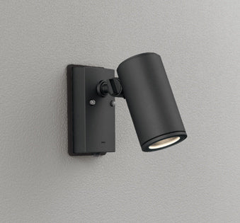 OG254555P1｜スポット ランプ別売