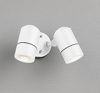 OG254581｜LEDスポット