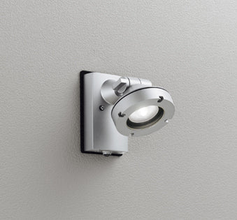 OG254895｜防雨型LEDスポット