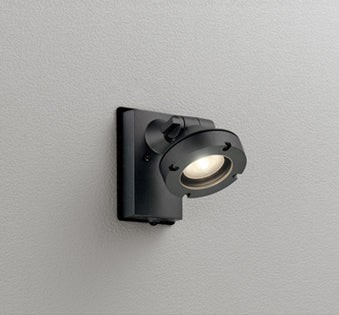 OG254898｜防雨型LEDスポット