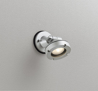 OG254904｜防雨型LEDスポット