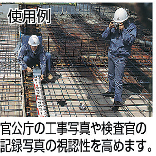 2461595｜ロッド60巾5m