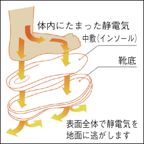 4067479|静電 超軽量 樹脂先芯入りスニーカー