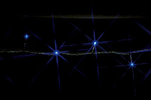 SJ-E05-10BB｜LEDストリング10M 青 青