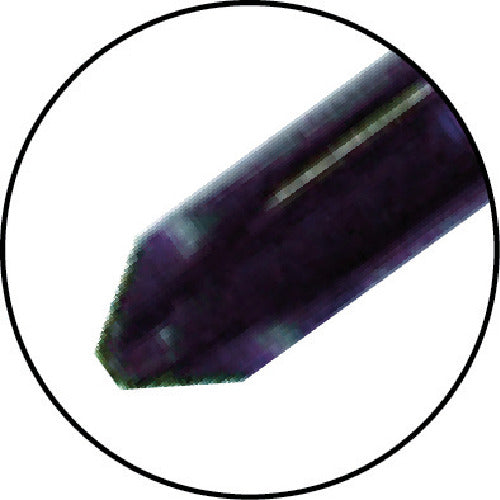 4376579|落下防止電工ドライバー