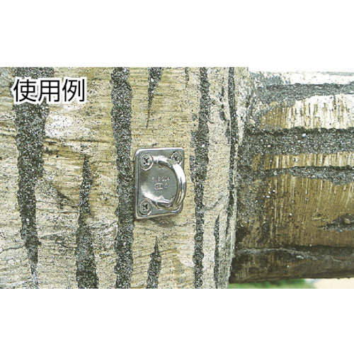 2751674|アイプレート