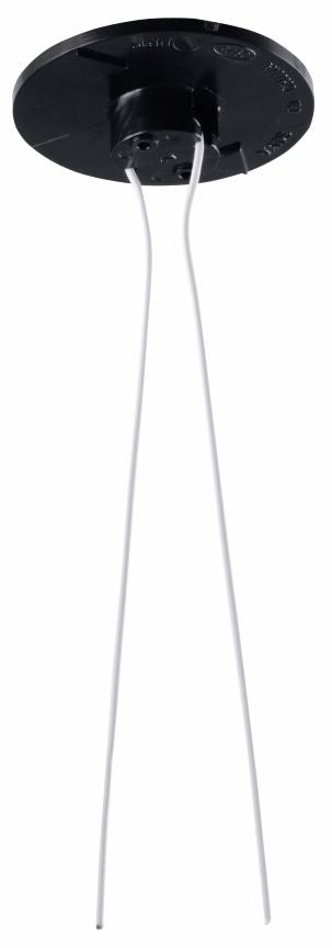PP19W｜パイピタ19