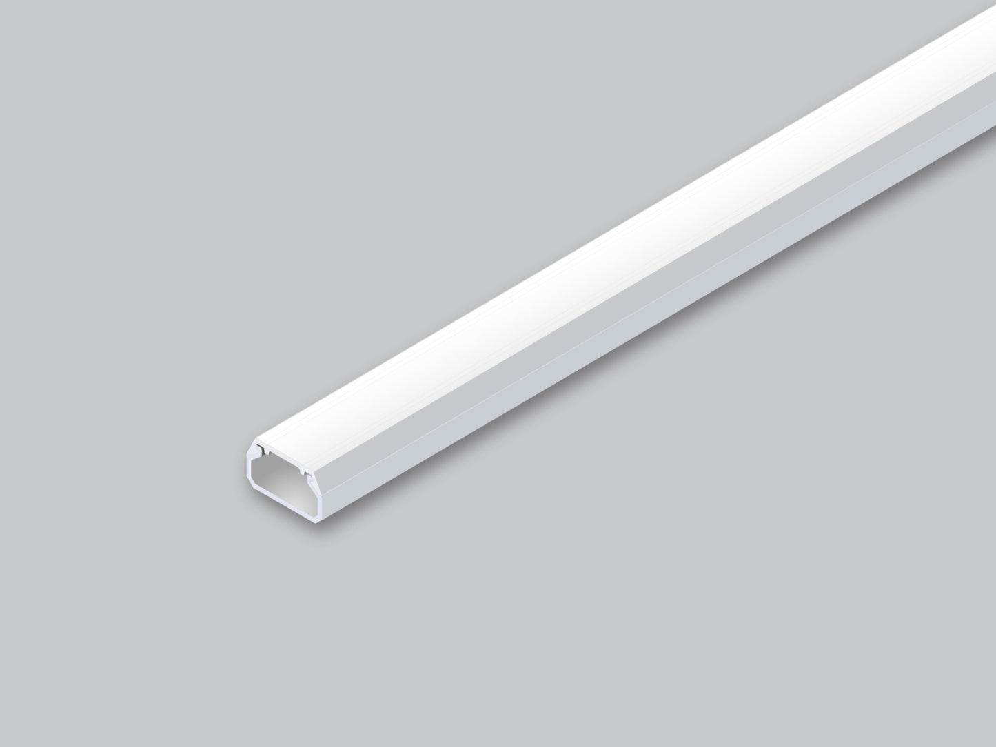 SFM12|ニュー・エフモール