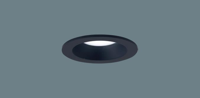 LGD1001NLE1|ダウンライト60形