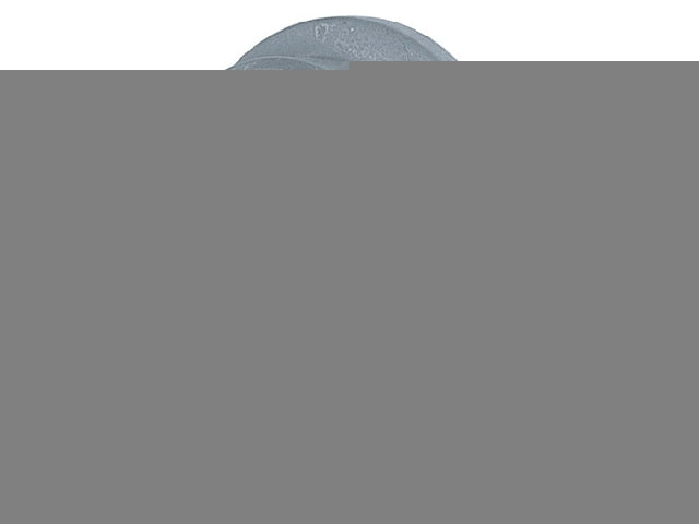 P-18RAD2|アルミ製ベントキャップ