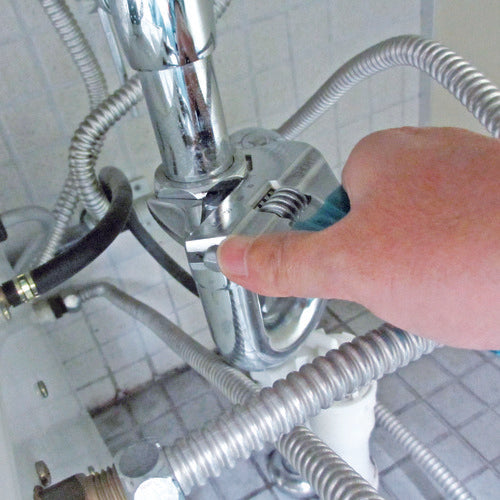 2505223｜エビ ポケットモンキ