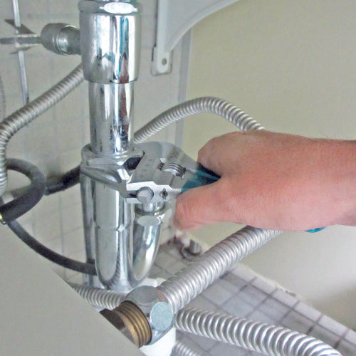 2505517｜エビ ポケットモンキ